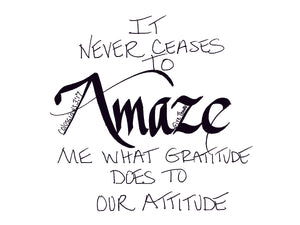 <span>Amaze:</span>It never ceases to AMAZE me what gratitude does to our attitude.